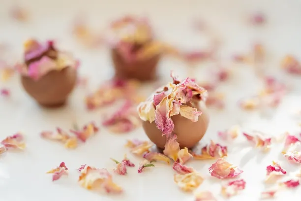 Coin365Bet Casino Application Android/iOS